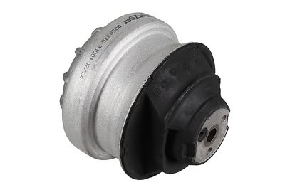 окачване, двигател METZGER AUTOTEILE 8050376