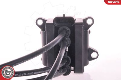 Ignition Coil 03SKV021