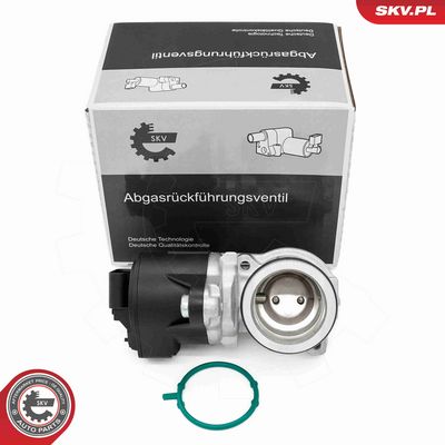 SUPAPA EGR ESEN SKV 14SKV275