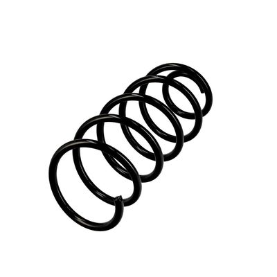 ARC SPIRAL EIBACH R10037 3