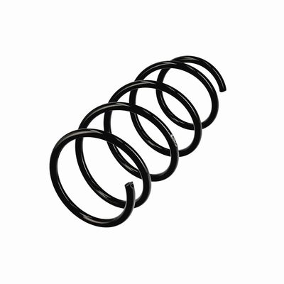ARC SPIRAL EIBACH R11070 3