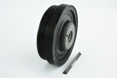 FULIE CUREA ARBORE COTIT FEBEST MDSCS4G15 43