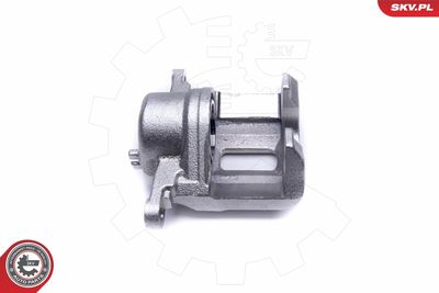 Brake Caliper 50SKV411