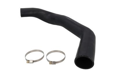 FURTUN EAR SUPRAALIMENTARE