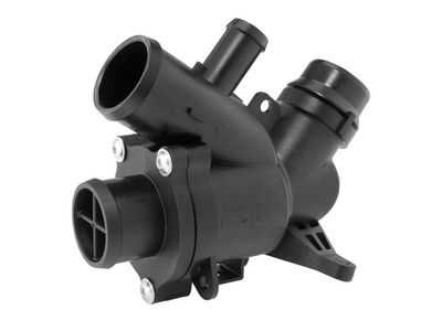 Termostat, płyn chłodzący BORGWARNER (WAHLER) 412500.95D0