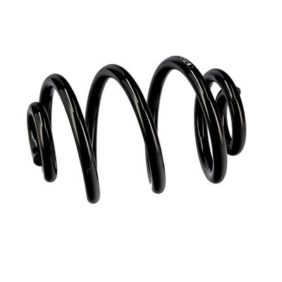 ARC SPIRAL EIBACH R10106 18