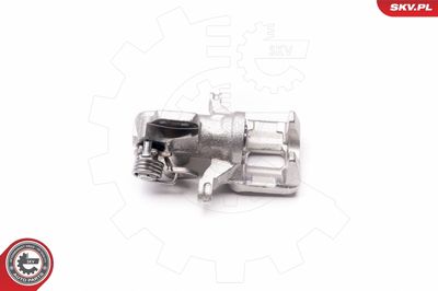 Brake Caliper 34SKV103