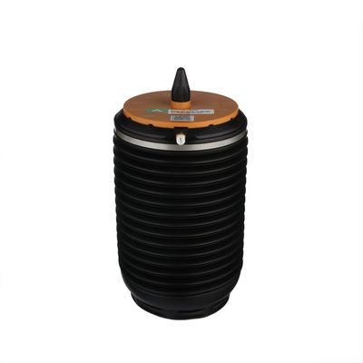 LUFTFEDER FAHRWERK Arnott A3892 28