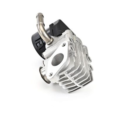 AGR-VENTIL DELPHI EG1064312B1 21