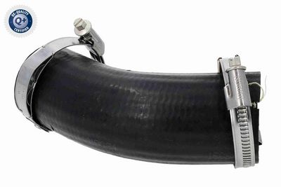 FURTUN EAR SUPRAALIMENTARE ACKOJA A520878 3