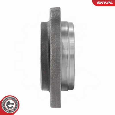 SET RULMENT ROATA ESEN SKV 29SKV702 4