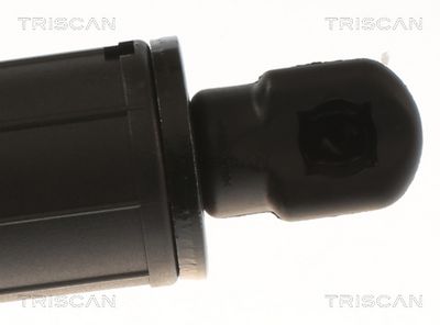 AMORTIZOR PORTBAGAJ TRISCAN 871081200 2