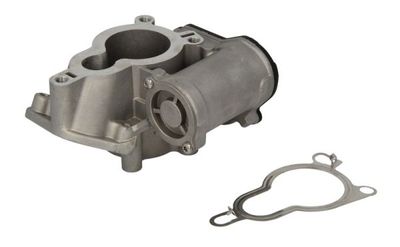 EGR Valve ENT500041