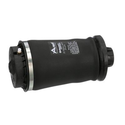 ARC PNEUMATIC DIRECTIE Arnott A2596 40