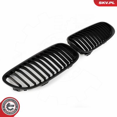 GRILA RADIATOR ESEN SKV 66SKV113 1