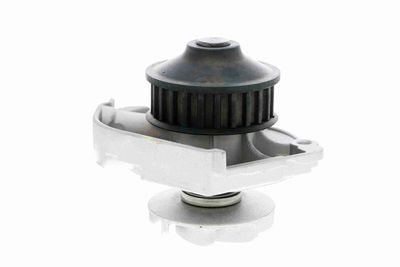WASSERPUMPE MOTORKüHLUNG VAICO V2450002 7