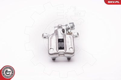 Brake Caliper 34SKV704