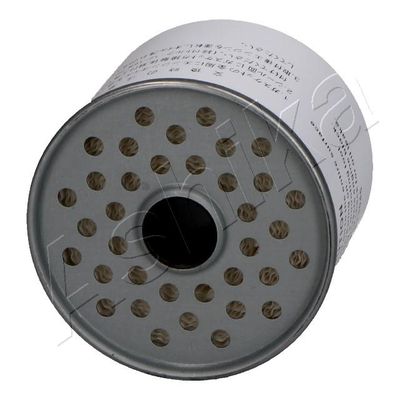ASHIKA 30-08-891 Топливный фильтр  для TATA  (Тата Индика)