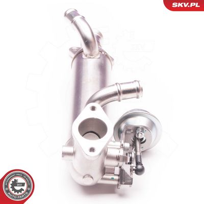 AGR - Ventil ESEN SKV 14SKV119