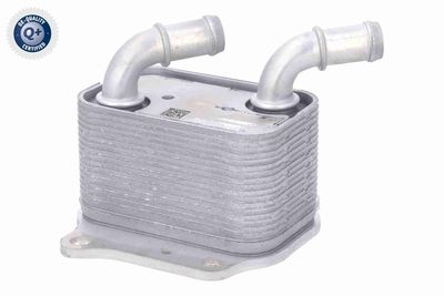 RADIATOR ULEI ULEI MOTOR ACKOJA A52600024 3