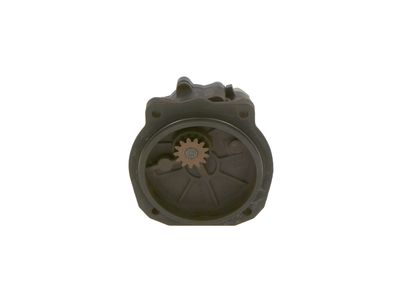 BOSCH Kraftstoffpumpe