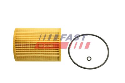 FILTRU ULEI FAST FT38101 1