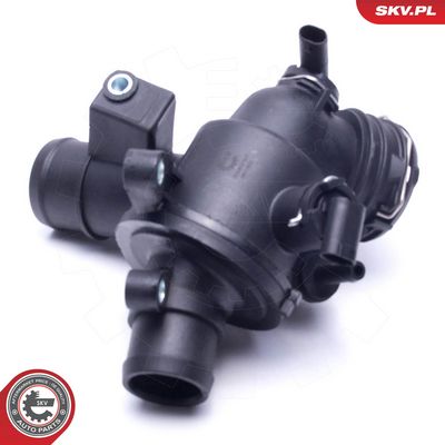 Termostatas, aušinimo skystis