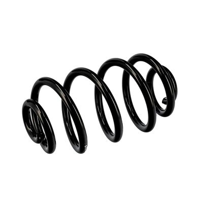 ARC SPIRAL EIBACH R10050 5