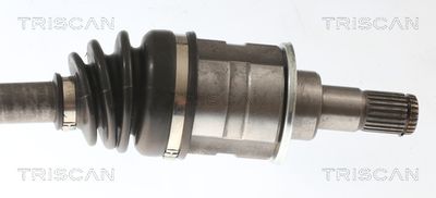 PLANETARA TRISCAN 854013578 2