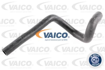 VAICO Radiateurslang Q+, original equipment manufacturer quality (V30-2416)