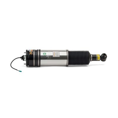 LUFTFEDERBEIN Arnott AS2979 3