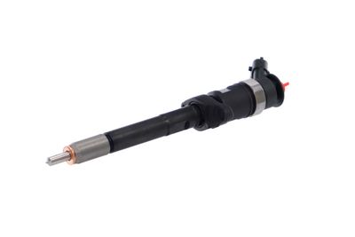 INJECTOR REMANTE 002003001727R 6
