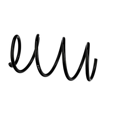 ARC SPIRAL EIBACH R10129 8