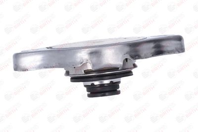 BUSON RADIATOR BIRTH 8069 7