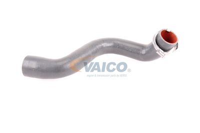 FURTUN EAR SUPRAALIMENTARE VAICO V460823 58