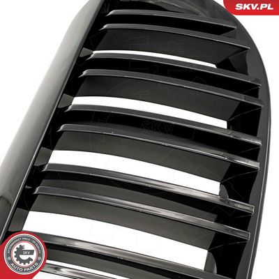 GRILA RADIATOR ESEN SKV 66SKV205 5