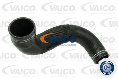 Трубка нагнетаемого воздуха VAICO V24-0741 для LANCIA DELTA