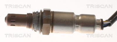 SONDA LAMBDA TRISCAN 884529213 1