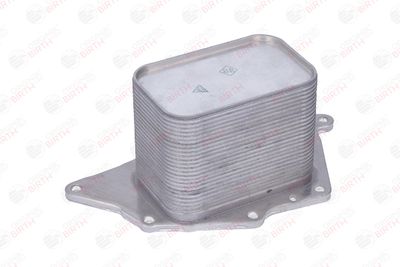RADIATOR ULEI ULEI MOTOR BIRTH 80859 6