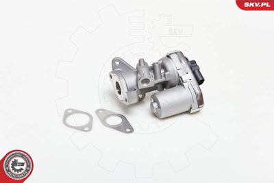 EGR Valve 14SKV038