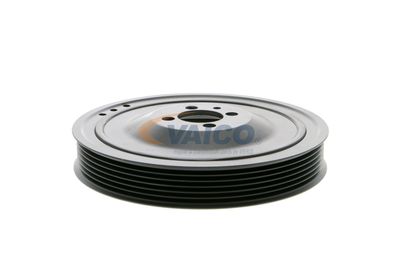 FULIE CUREA ARBORE COTIT VAICO V401481 20