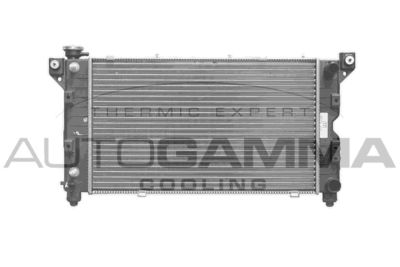 Радиатор, охлаждение двигателя AUTOGAMMA 100144 для CHRYSLER VOYAGER
