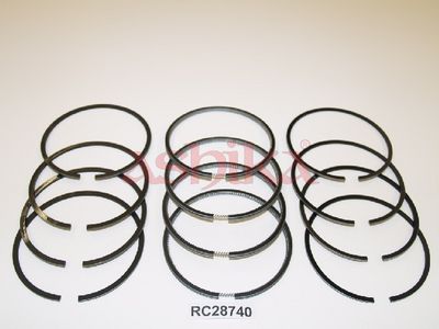 SEGMENT PISTON