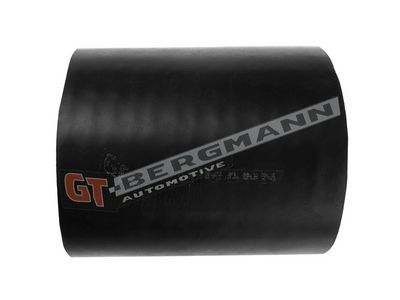 GT-BERGMANN Automotive - Hadica plniaceho vzduchu (hadica turba) LAND ROVER , GT52-420