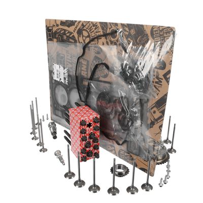 CHIT LANT DE DISTRIBUTIE ET ENGINETEAM RS0050VR3 25