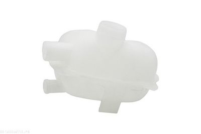 VAS DE EXPANSIUNE RACIRE