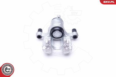 Brake Caliper 44SKV413