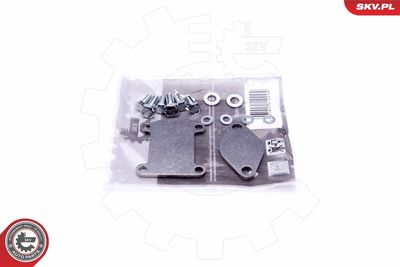 SET DE REPARAțIE SUPAPă AGR