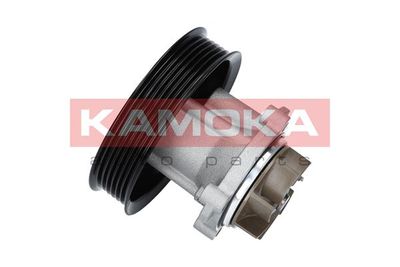 Water Pump, engine cooling T0014
