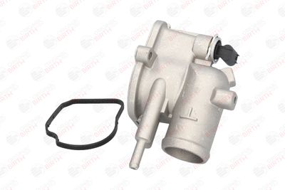 FLANSA LICHID RACIRE BIRTH 80192 11